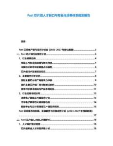 Fast芯片组人才缺口与专业化培养体系规划报告