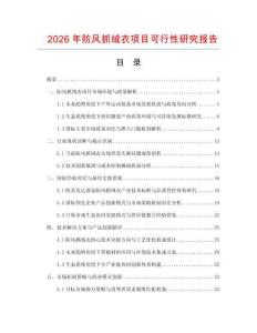 2026年防风抓绒衣项目可行性研究报告