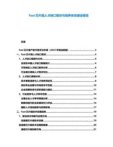 Fast芯片組人才缺口現狀與培養體系建設報告