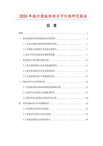 2026年強力清版劑項目可行性研究報告