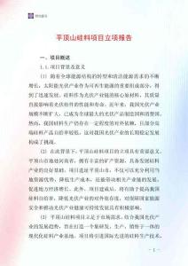 平頂山硅料項目立項報告