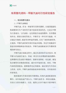 車用替代燃料—甲醇汽油可行性研究報告