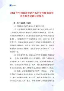 2025年中國低速電動汽車行業(yè)發(fā)展前景預(yù)測及投資戰(zhàn)略研究報告