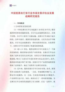 中國競賽自行車行業市場全景評估及發展戰略研究報告