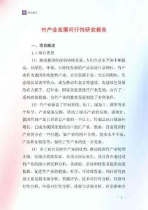 竹產業發展可行性研究報告