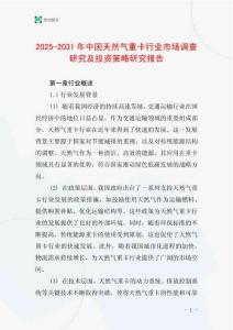 2025-2031年中國(guó)天然氣重卡行業(yè)市場(chǎng)調(diào)查研究及投資策略研究報(bào)告