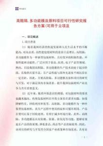 高阻隔多功能膜及原料項目可行性研究報告方案(可用于立項及
