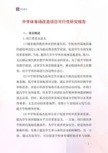 中學體育場改造項目可行性研究報告