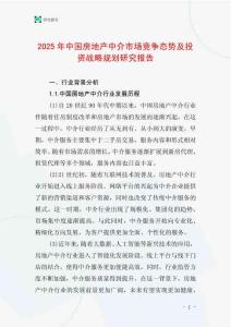 2025年中國房地產中介市場競爭態勢及投資戰略規劃研究報告