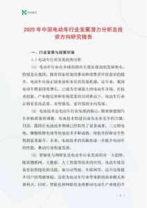 2025年中國電動(dòng)車行業(yè)發(fā)展?jié)摿Ψ治黾巴顿Y方向研究報(bào)告