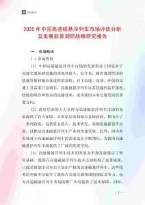 2025年中國高速磁懸浮列車市場評估分析及發(fā)展前景調(diào)研戰(zhàn)略研究報告