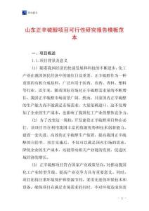 山東正辛硫醇項目可行性研究報告模板范本