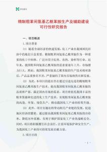 精制粗苯間氨基乙酰苯胺生產及輔助建設可行性研究報告