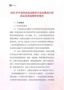 2025年中國危險品運輸車行業(yè)發(fā)展?jié)摿︻A測及投資戰(zhàn)略研究報告