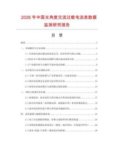 2026年中国光角度交流过载电流表数据监测研究报告