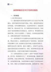 油茶种植项目可行性研究报告