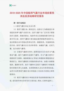 2019-2025年中國船用氣囊行業市場前景預測及投資戰略研究報告