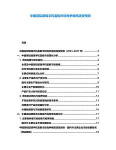 中国高铝玻璃手机盖板市场竞争格局演变预测