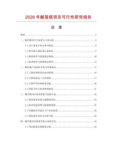 2026年艇首纜項目可行性研究報告