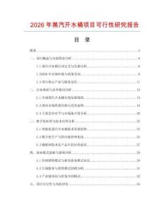 2026年蒸汽开水桶项目可行性研究报告