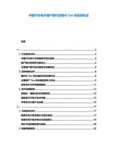 中國汽車電子國產(chǎn)替代進程與Tier供應商機會