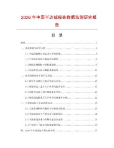 2026年中國半邊絨船襪數據監測研究報告