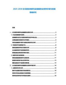 2025-2030北馬里亞納群島金融服務業(yè)競爭環(huán)境與發(fā)展策略研究