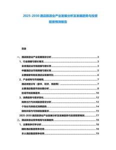 2025-2030酒店旅游業(yè)產(chǎn)業(yè)發(fā)展分析及發(fā)展趨勢與投資前景預(yù)測報告