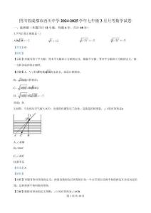 精品解析：四川省成都市西川中学2024-2025学年下学期七年级3月月考数学试卷（解析版）
