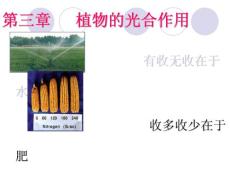 [农林牧渔]植物的光合作用
