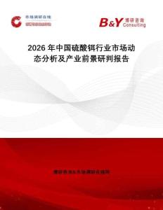 2026年中國硫酸鉺行業(yè)市場動態(tài)分析及產(chǎn)業(yè)前景研判報告