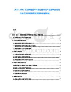 2025-2030了互聯網軟件開發行業市場產品競爭及時效性特點及長期融資投資整體發展策略！