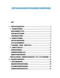 中國氣泡水品類創新方向與年輕消費者口味偏好研究報告