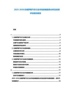 2025-2030白俄羅斯汽車行業市場發展趨勢分析及投資評估規劃報告