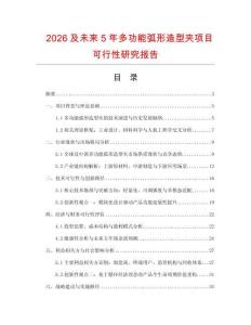 2026及未來5年多功能弧形造型夾項目可行性研究報告