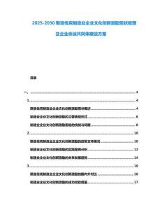 2025-2030斯洛伐克制造業企業文化創新激勵現狀梳理及企業命運共同體建設方案