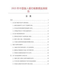 2025年中國盲人道石板數據監測報告