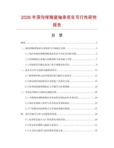 2026年深溝球陶瓷軸承項目可行性研究報告