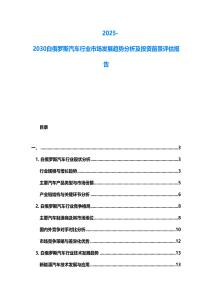 2025-2030白俄羅斯汽車行業市場發展趨勢分析及投資前景評估報告