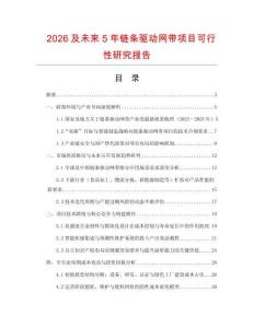 2026及未來5年鏈條驅動網帶項目可行性研究報告
