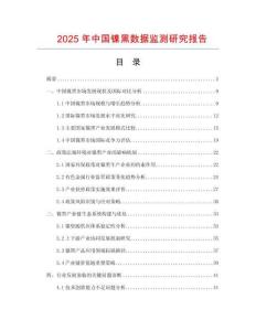2025年中國鎳黑數據監測研究報告