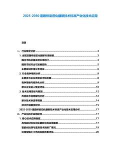 2025-2030道路橋梁舊化翻新技術(shù)標(biāo)準(zhǔn)產(chǎn)業(yè)化技術(shù)應(yīng)用