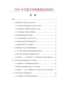 2025年中國大轉角數據監測報告