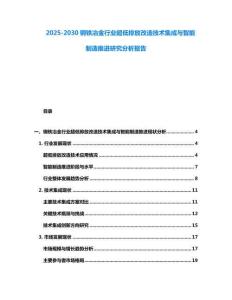 2025-2030钢铁冶金行业超低排放改造技术集成与智能制造推进研究分析报告