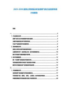 2025-2030波音公司財(cái)報(bào)分析及民用飛機(jī)行業(yè)投資布局計(jì)劃報(bào)告