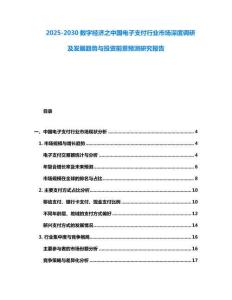 2025-2030數字經濟之中國電子支付行業市場深度調研及發展趨勢與投資前景預測研究報告