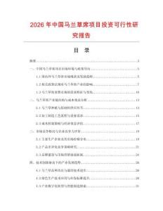 2026年中国马兰草席项目投资可行性研究报告