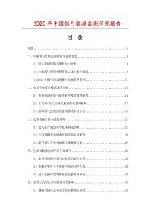 2025年中國飯勺數據監測研究報告