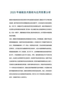 2025年储能技术路线与应用前景分析