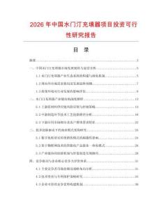 2026年中國水門汀充填器項目投資可行性研究報告